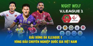 Giái bóng đá v league 1